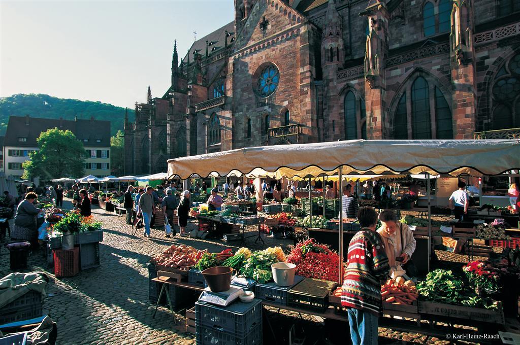 Designhotel Am Stadtgarten Freiburg im Breisgau Dış mekan fotoğraf