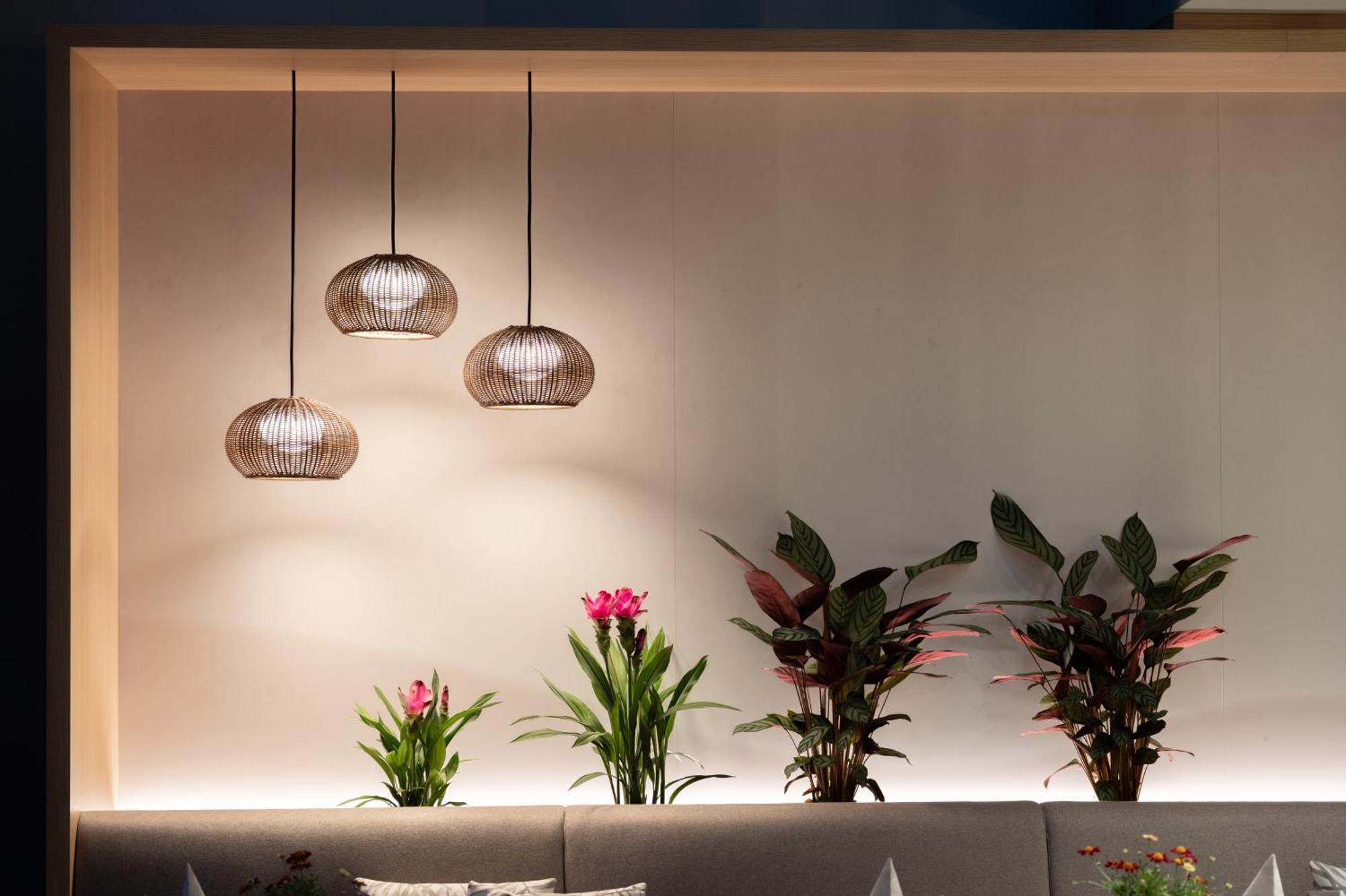 Designhotel Am Stadtgarten Freiburg im Breisgau Dış mekan fotoğraf